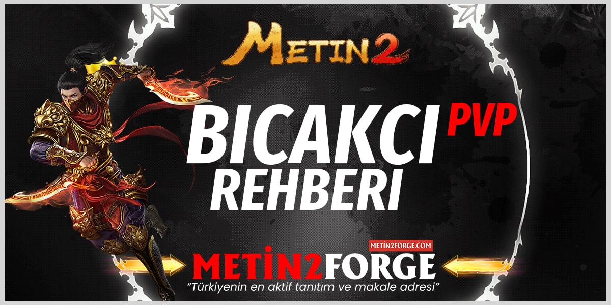 Metin2 Bıçakçı Ninja Statü Dağılımı: PvP ve PvE Rehberi