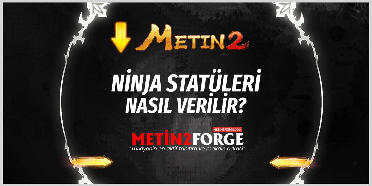 Metin2 PVP & TR Ninja Statü Dağılımı | En İyi Rehber 2025